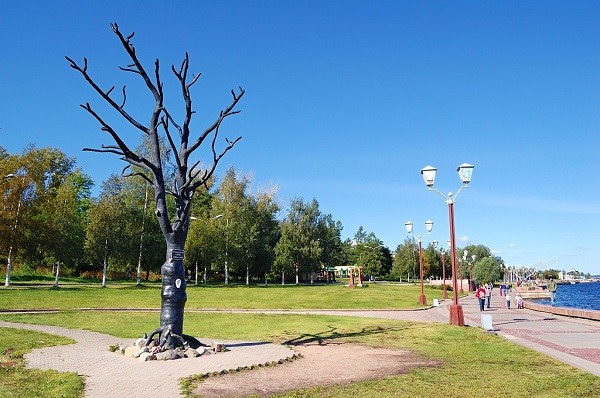 Дерево желаний в Петрозаводске или Дерево с ухом